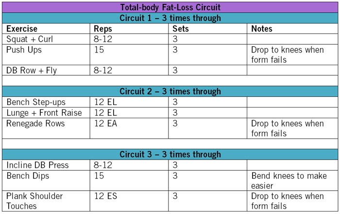 Weight training circuit