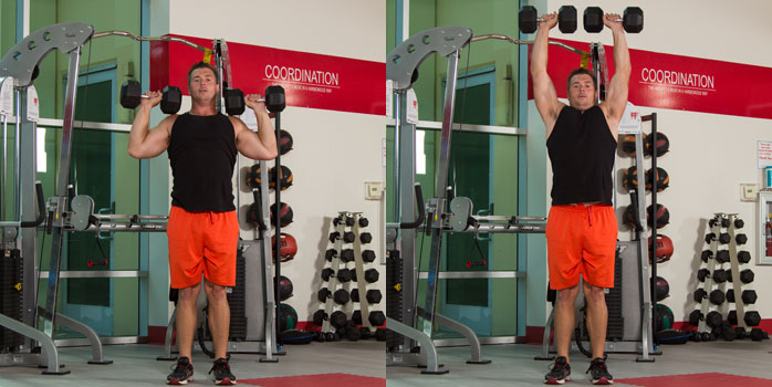 Dumbbell Shoulder Press