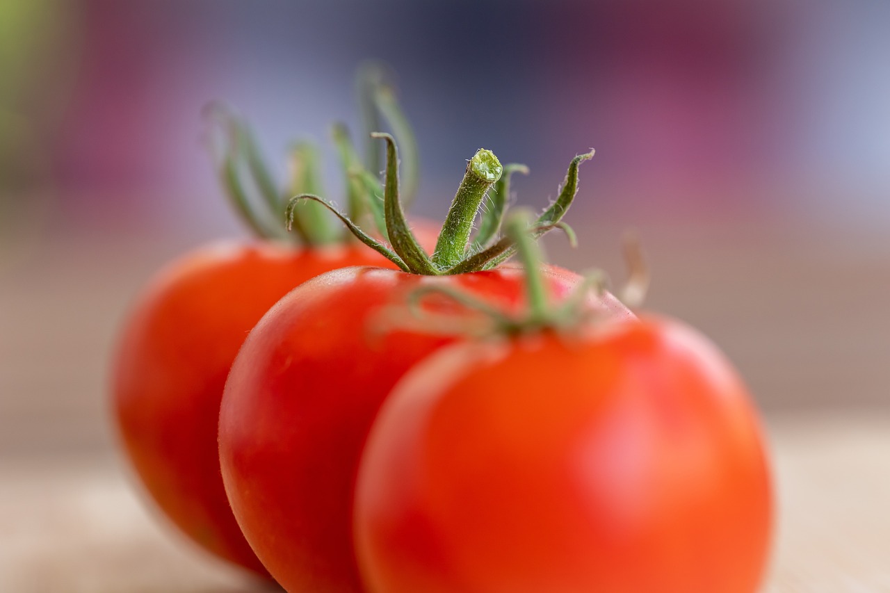 Cómo comer sin engordar: consejos para una alimentación saludable