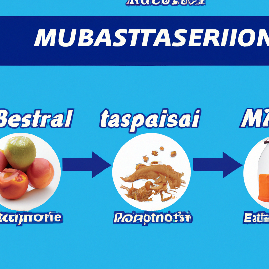 ¿Cómo el metabolismo basal nos ayuda a mejorar nuestro bienestar?