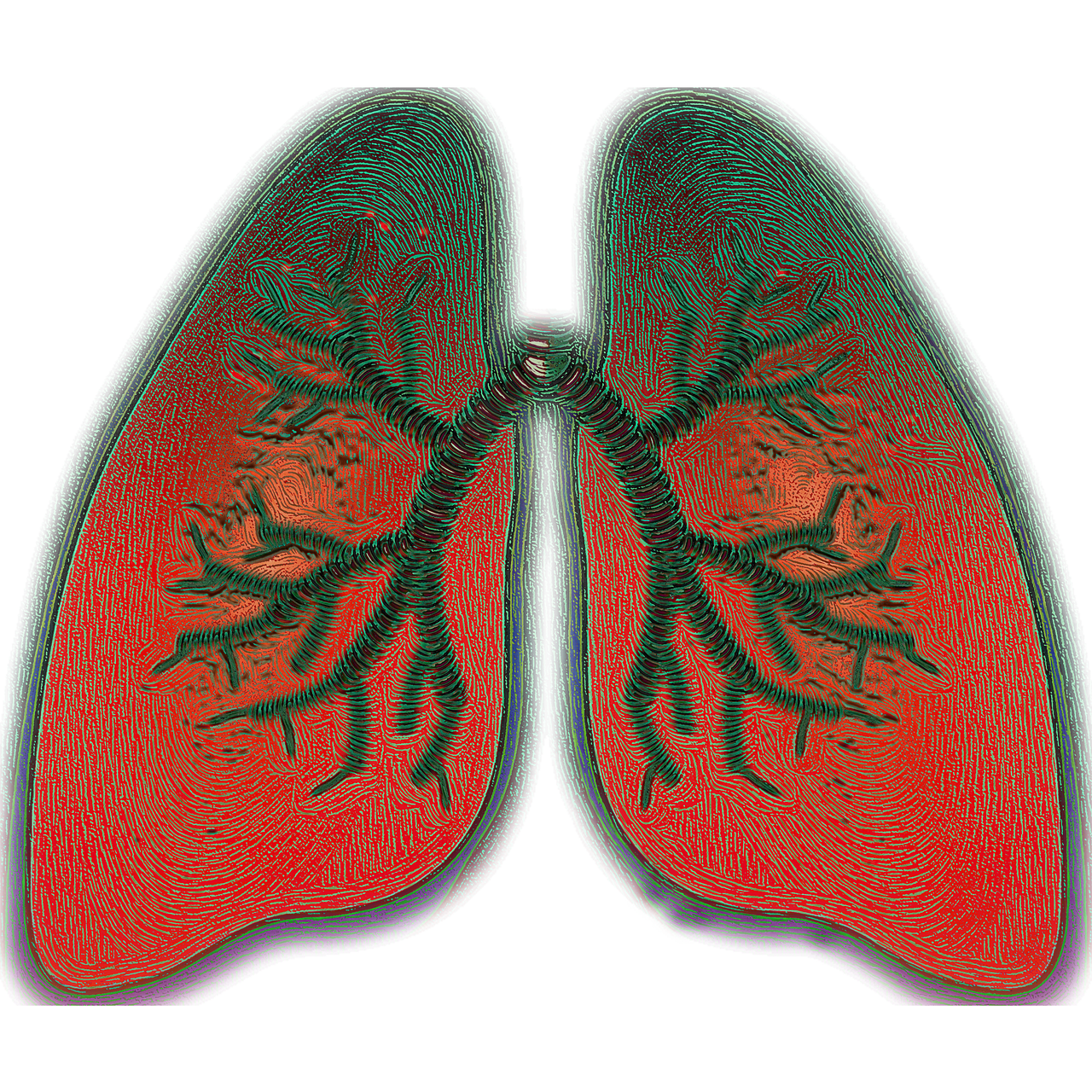 ¿Cómo el pranayama mejora tu salud y bienestar?