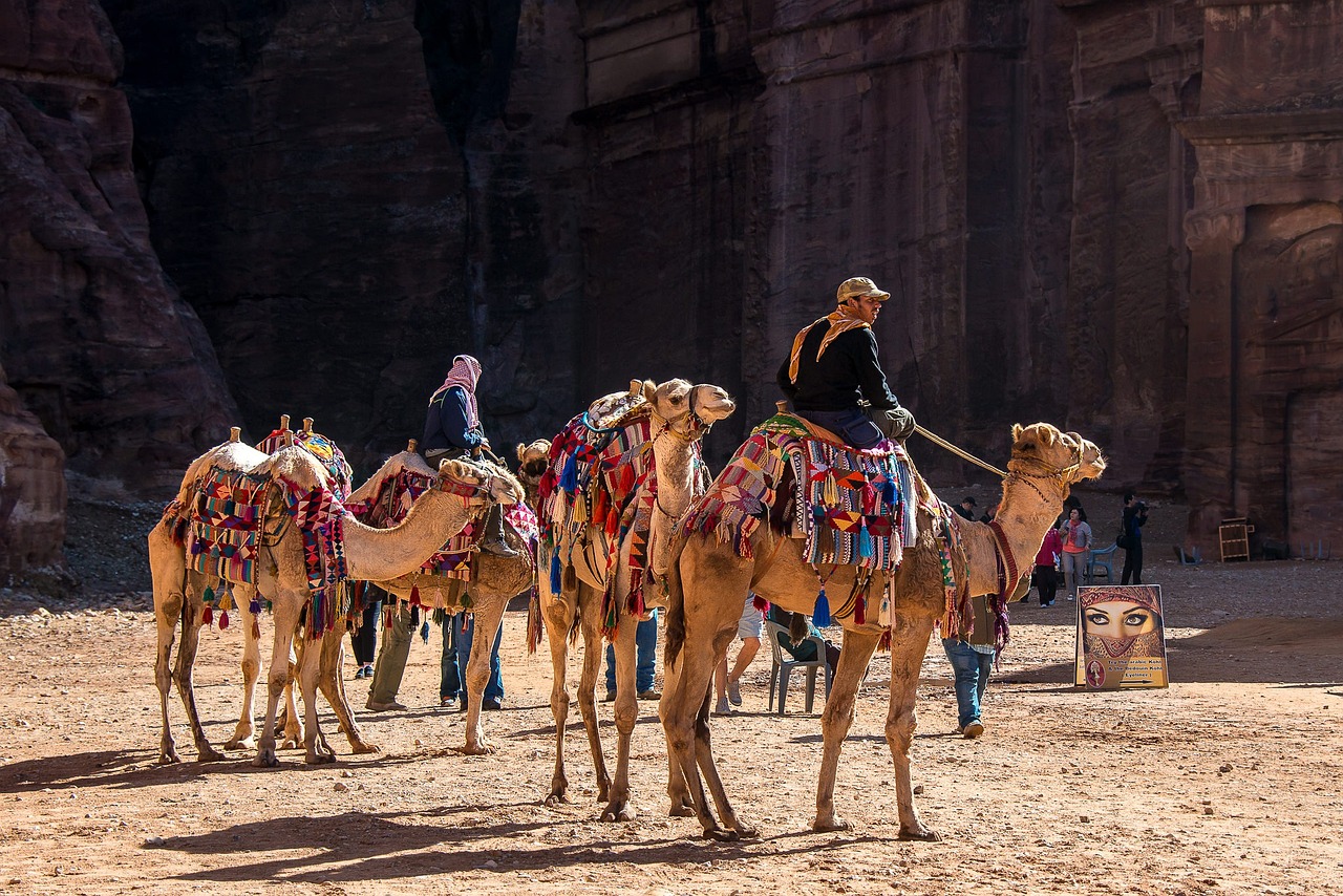 ¿Qué significa el sonido de los camellos?