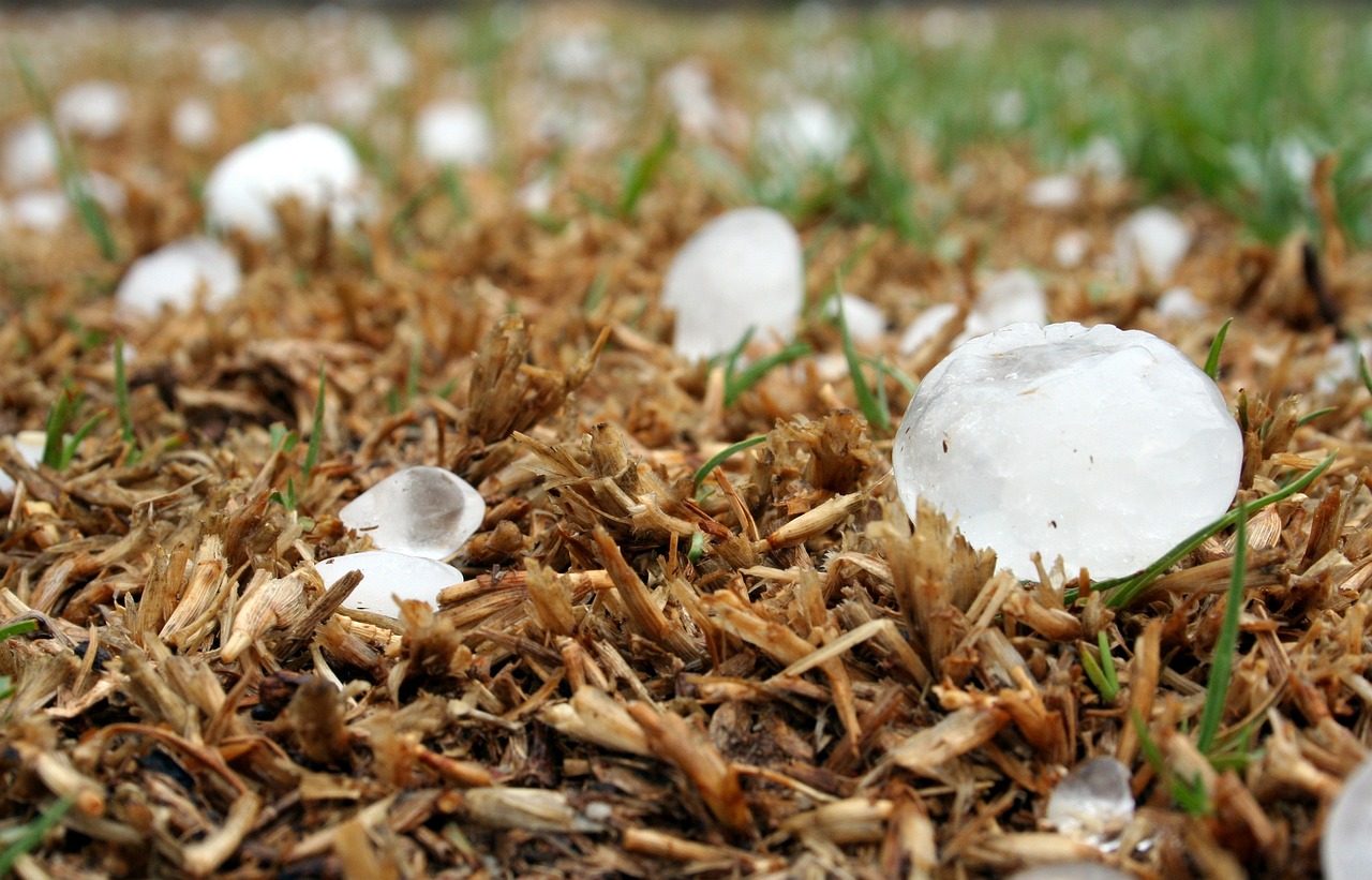 ¿Cómo preparar el refrescante granizado?