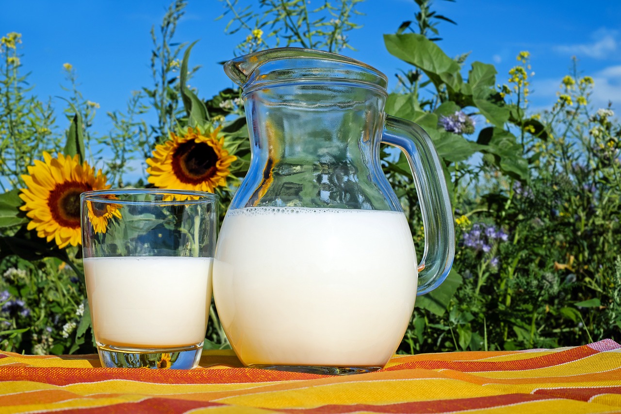 Cómo preparar mi propia proteína para aumentar masa muscular