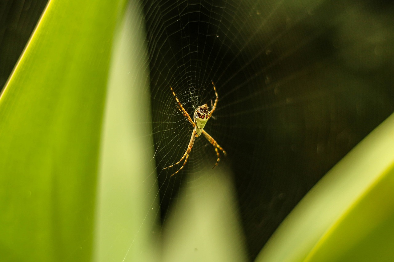 Consejos para Realizar la Posición Mariposa