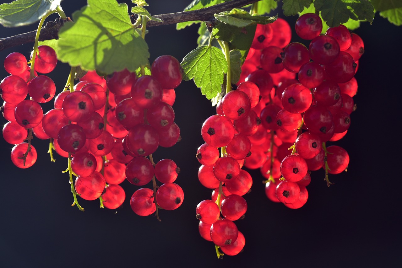 ¡Descubre los Beneficios de Hacer el Saludo al Sol!