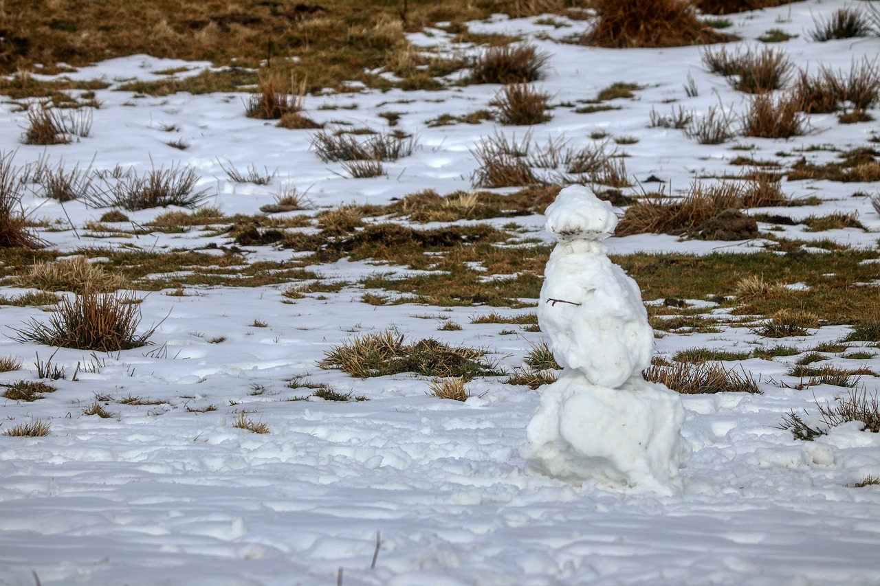 Ejercicios para Aliviar el Dolor de Muñeca