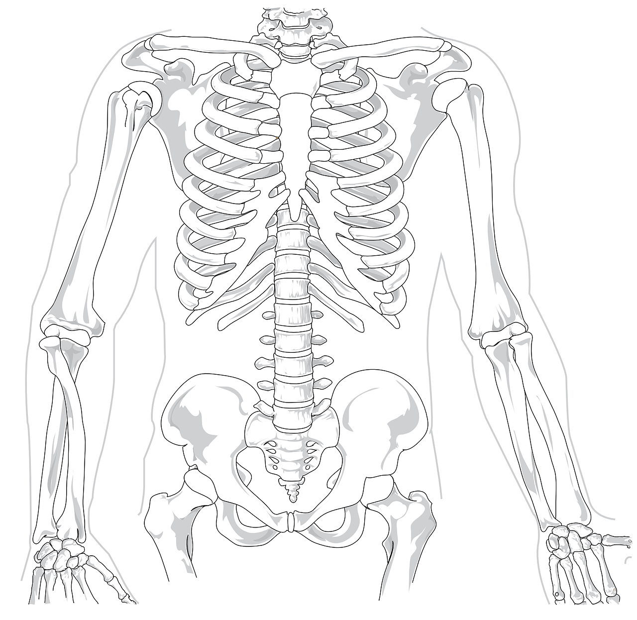 Ejercicios para Aliviar el Dolor Lumbar: ¿Cuáles son Recomendables?