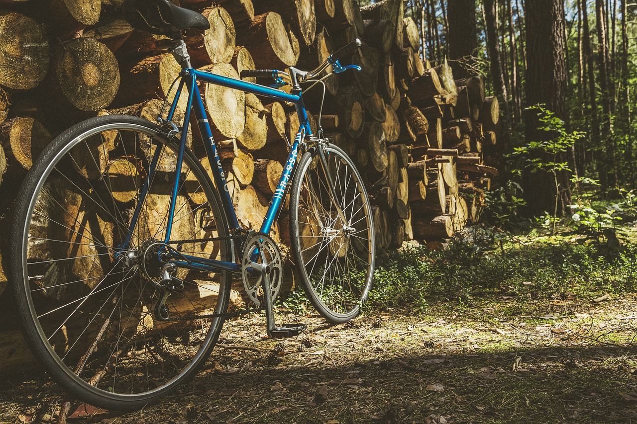 ¿Caminar o hacer bicicleta fija: ¿Cuál es la mejor opción para ejercitarte?