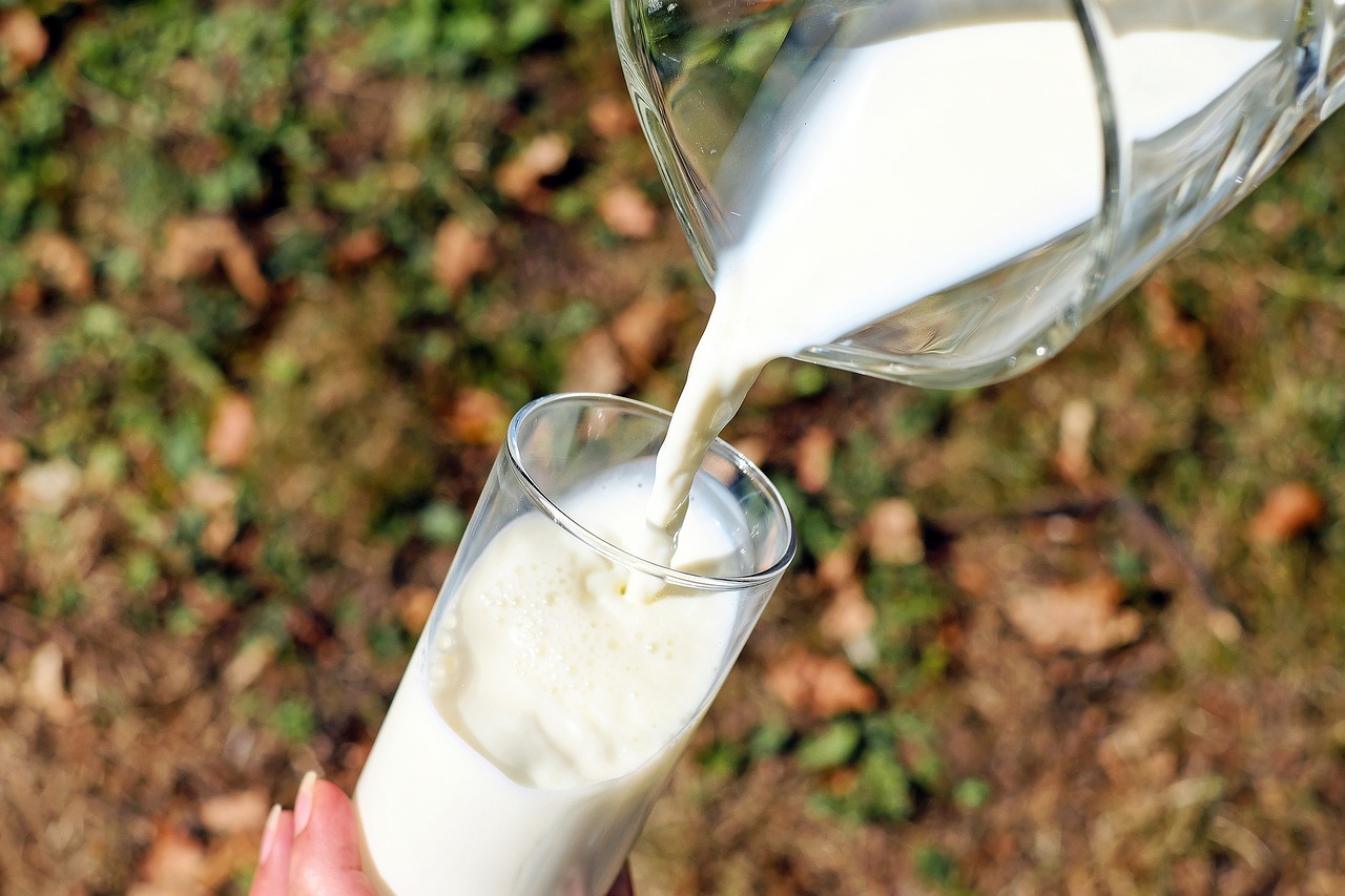 ¿Cómo elegir la leche correcta para tu dieta?”