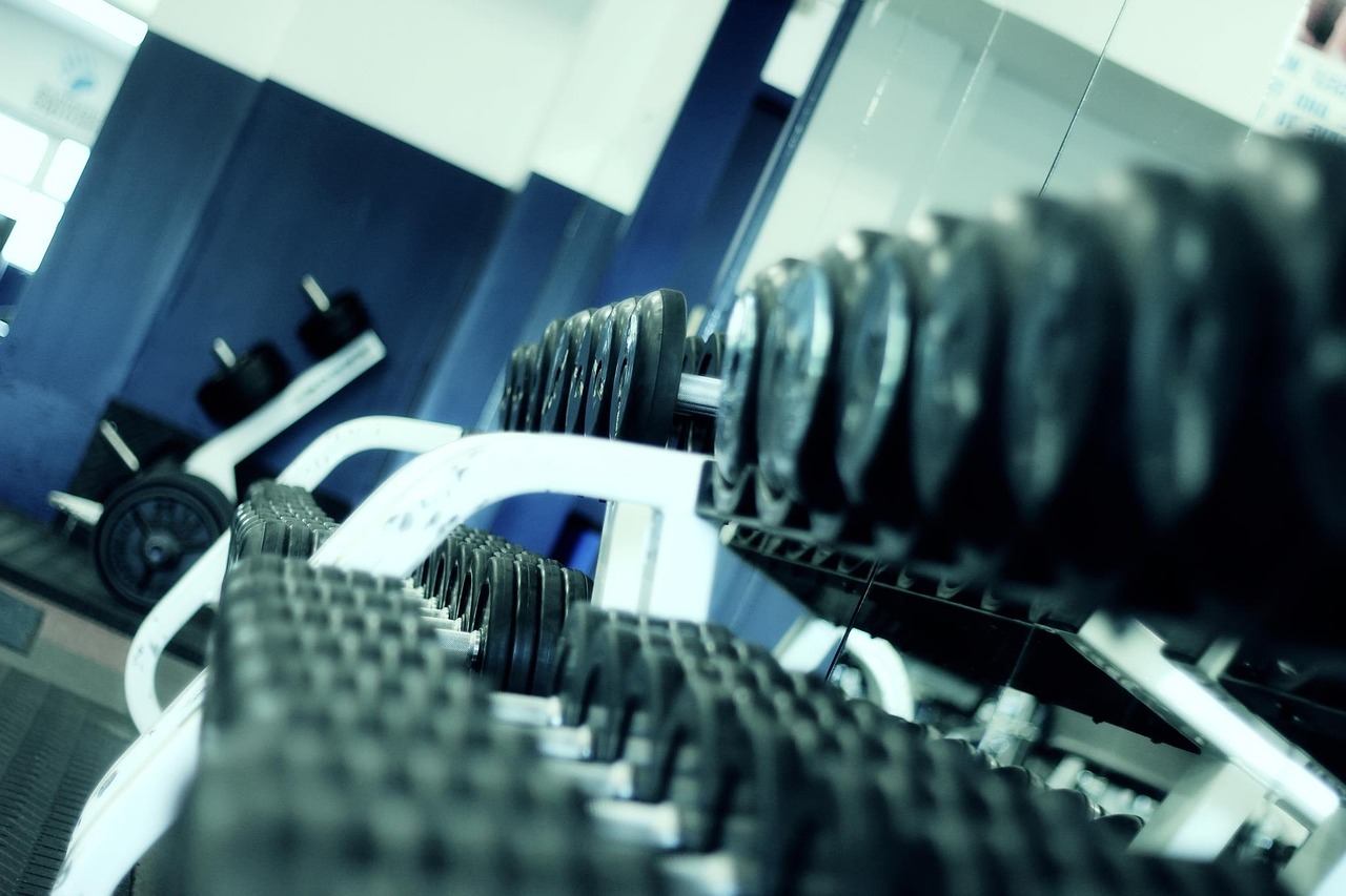 ¿Cómo se Distinguen el Gym y el Gimnasio?