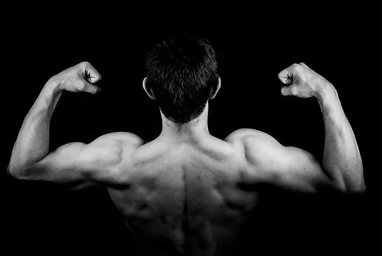 Consejos para Desarrollar Bíceps