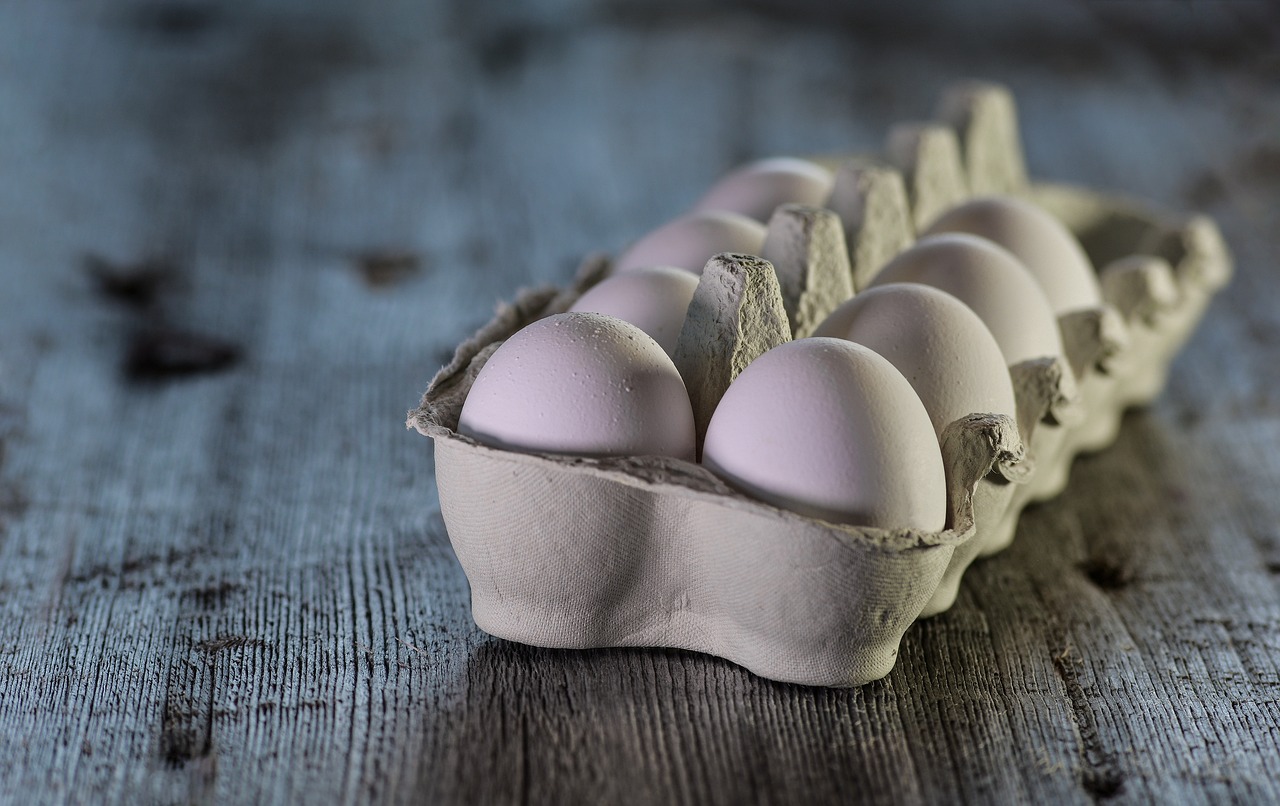 Consejos para Secarse: Los Mejores Alimentos para Comer