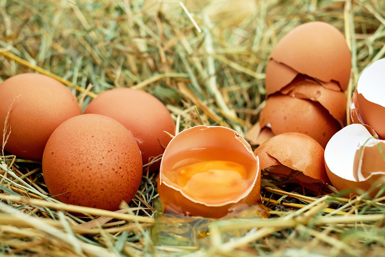 Cómo la Proteína Ayuda al Crecimiento Muscular