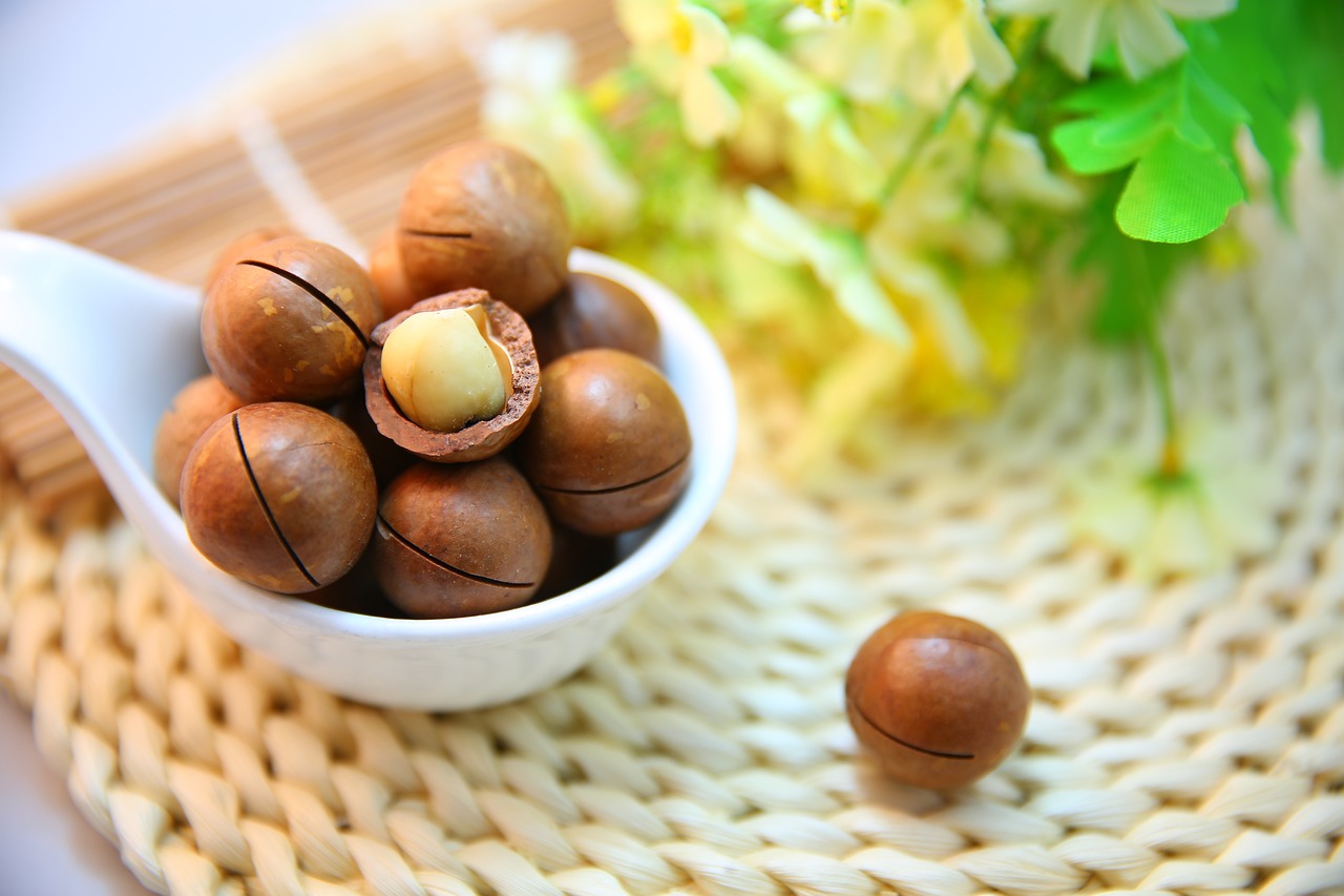 ¿Cuáles son las Proteínas con Menos Calorías?”