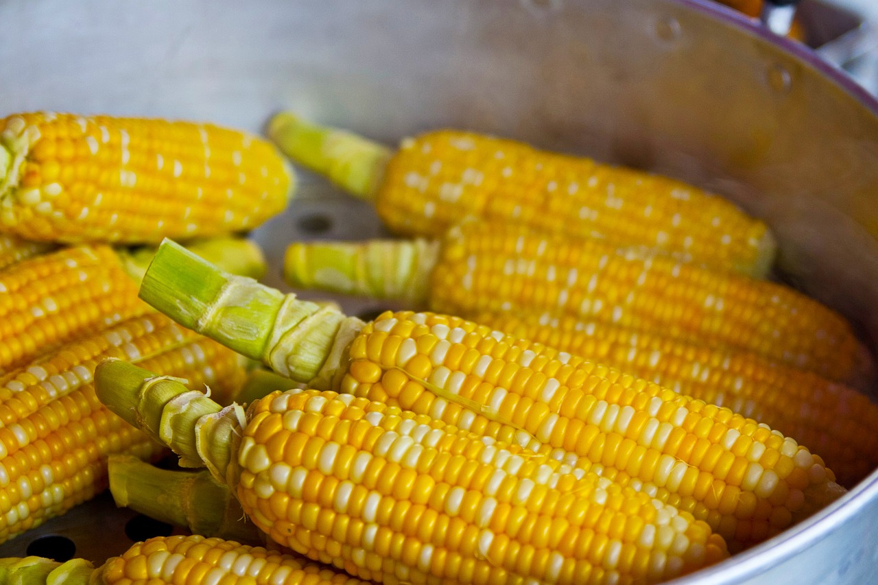 ¿Cuáles son los beneficios para la salud del maíz?