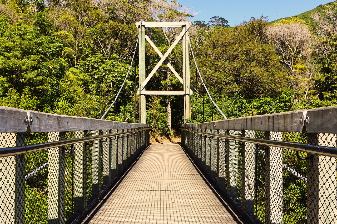 Las Beneficios del Ejercicio Puente