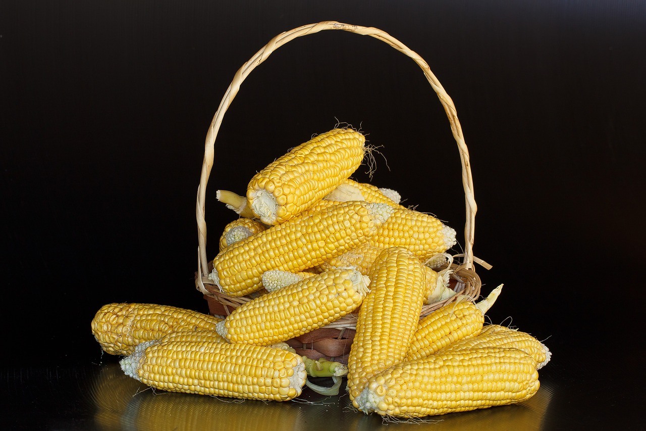 Los beneficios de comer maíz dulce