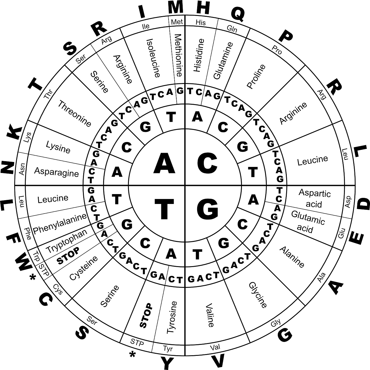 Obtención Natural de Aminoácidos: ¿Cómo Hacerlo?