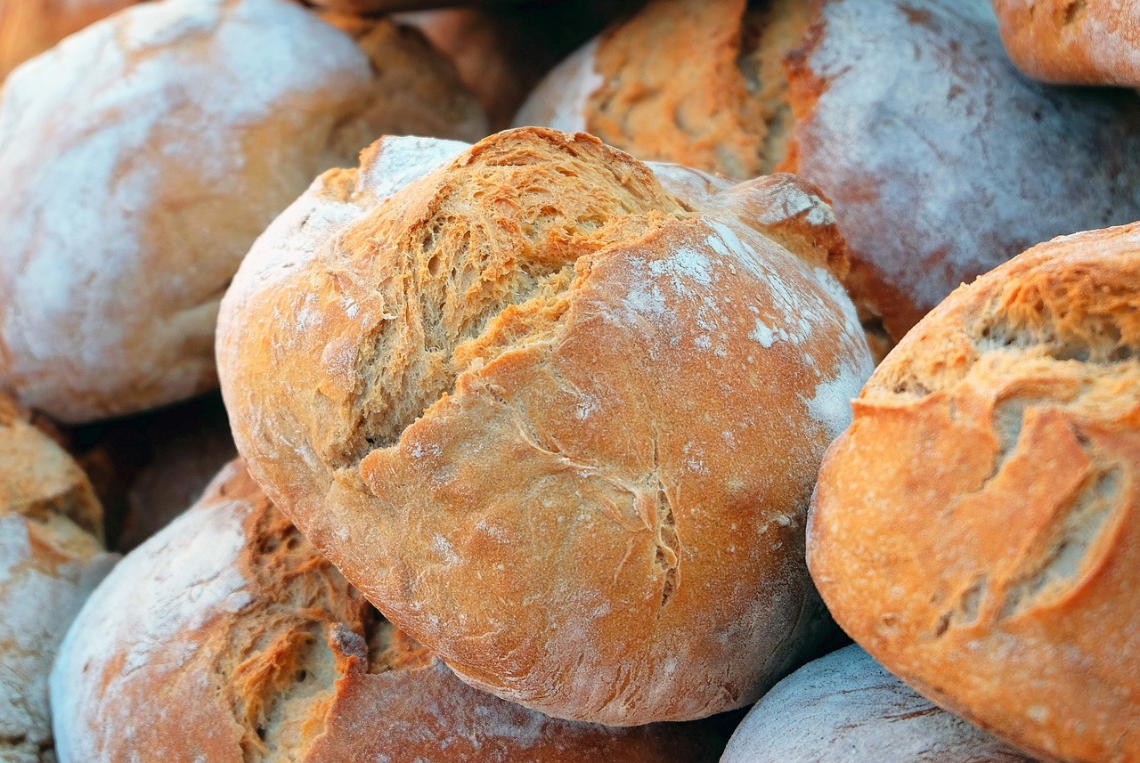 Alimentos Libres de Carbohidratos y Grasas: ¿Cuáles Son?