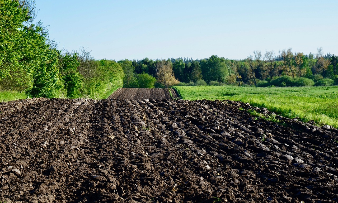 Cómo la postura del arado mejora tu trabajo en el campo