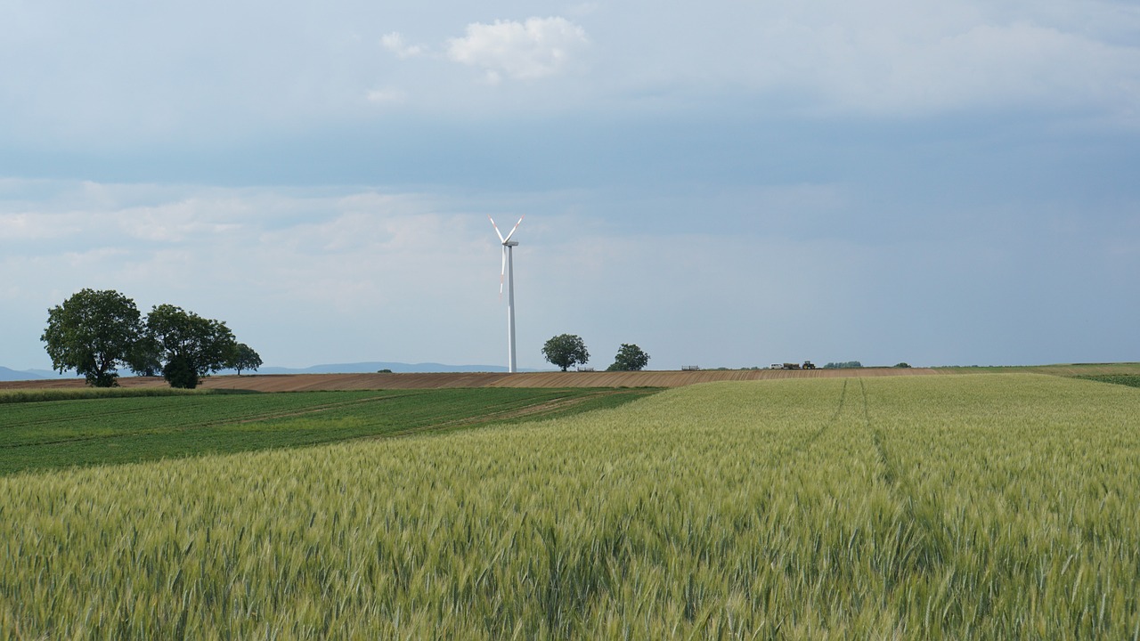 Los Alimentos Energéticos: ¿Qué Son y Cómo Aprovecharlos?