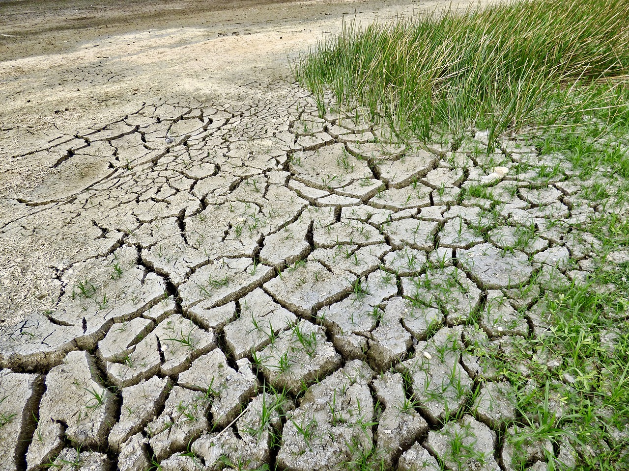 Calentamiento Global: ¿Qué es y Cuáles son los Ejemplos?