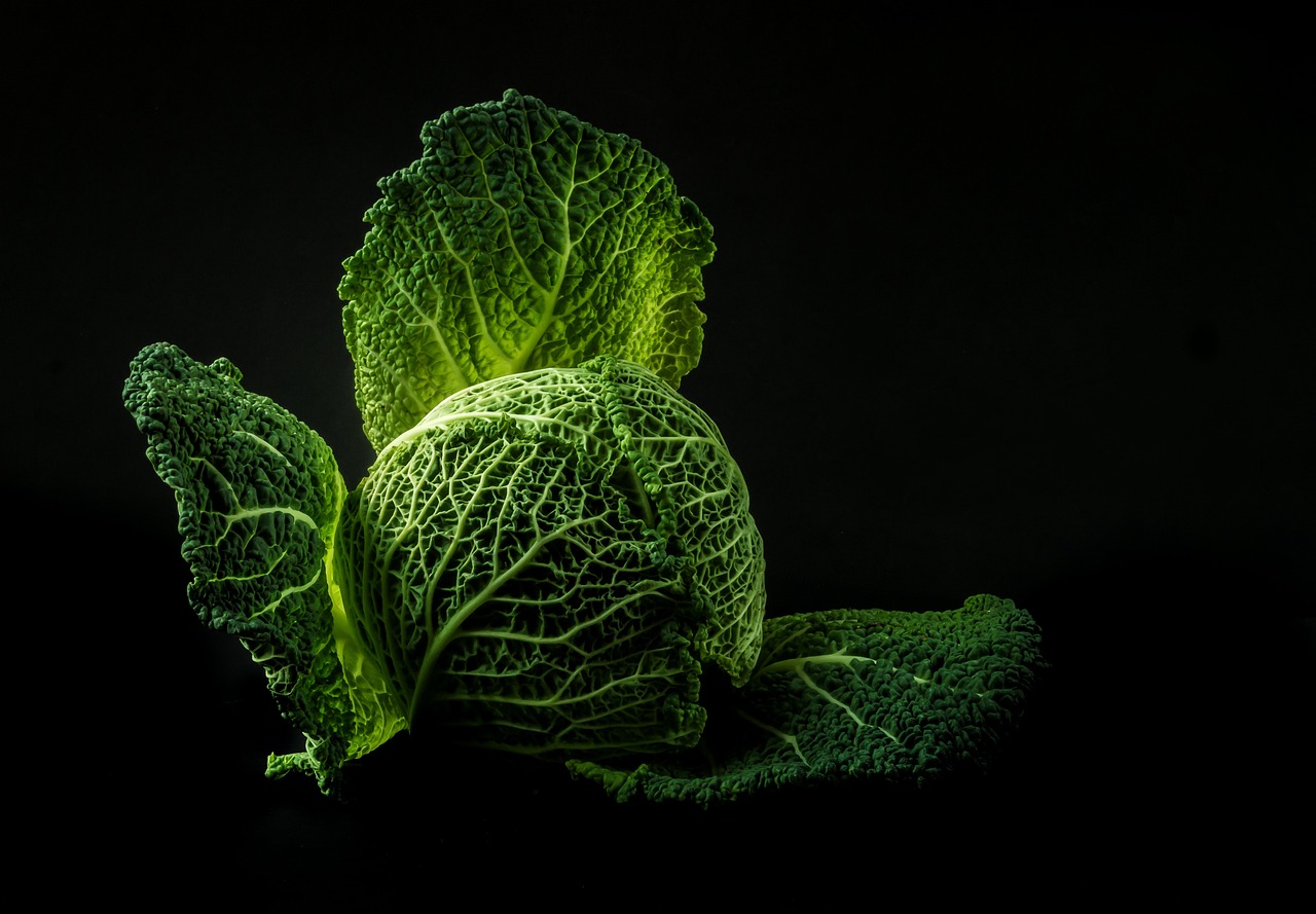 Dieta para el entrenamiento en el gimnasio: ¿qué alimentos debo comer?