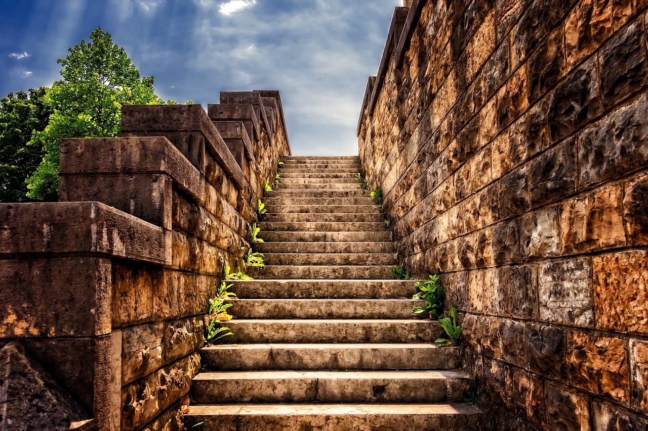 Los pasos básicos del Step: ¡Descúbrelos!